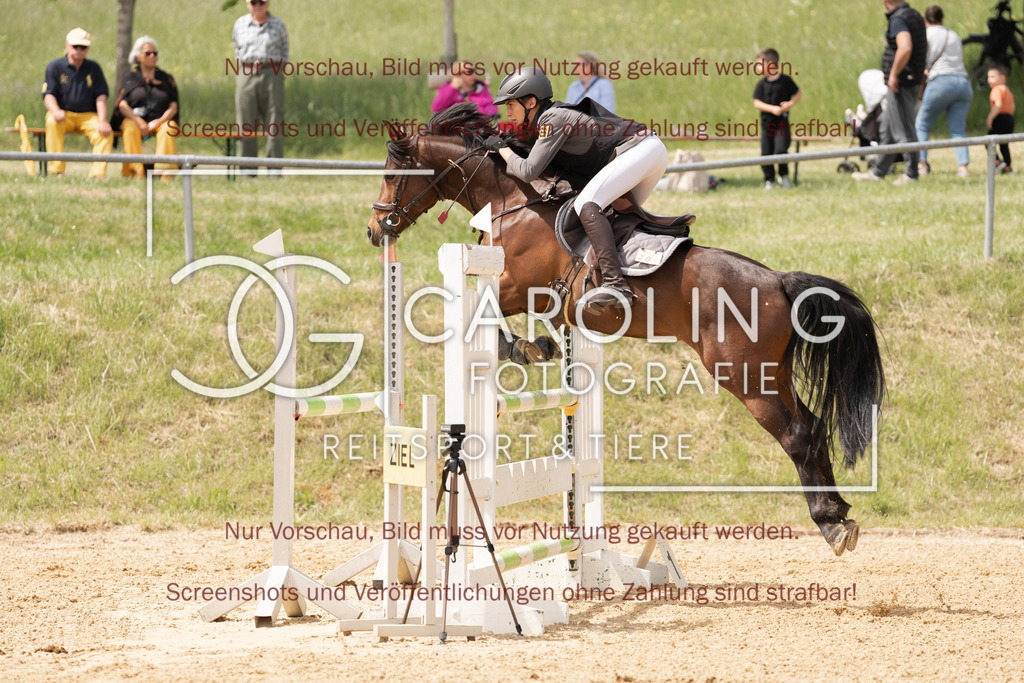 DSC06777 | Springturnier_Ehingen_Mai_2026, Moritz_Steimle, Sternenstaub_SWS