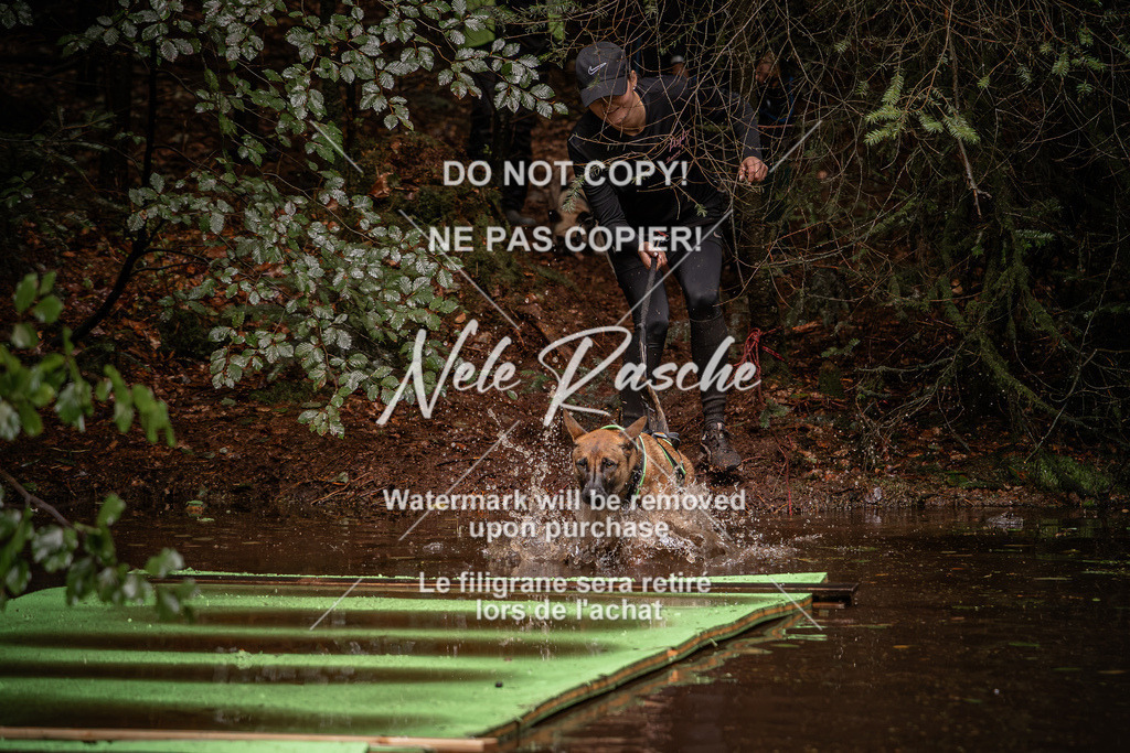 nelerasche_Wingst_Sa1330-1400_71 | nelerasche