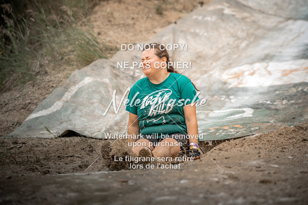nelerasche_sa1230-1300_382 | nelerasche