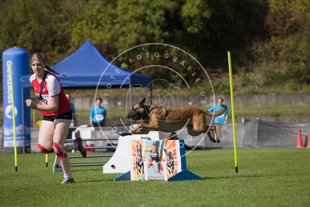 0L8A7567 | Hundefotografie, Tierfotograf, Pfotenfotografie, Fotoshooting Hund, Hunde Portrait, Hundesport, Hundeportraits, Heideshooting, Hunde, Sportfotograf, Hundefotograf, Turnierhundsport, THS,  - Realisiert mit Pictrs.com