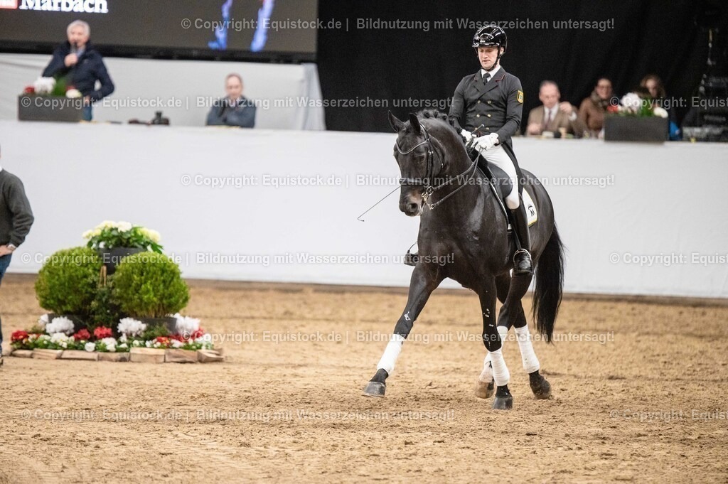 20260307_Hengstvorstellung-Marbach_0471 | equistock