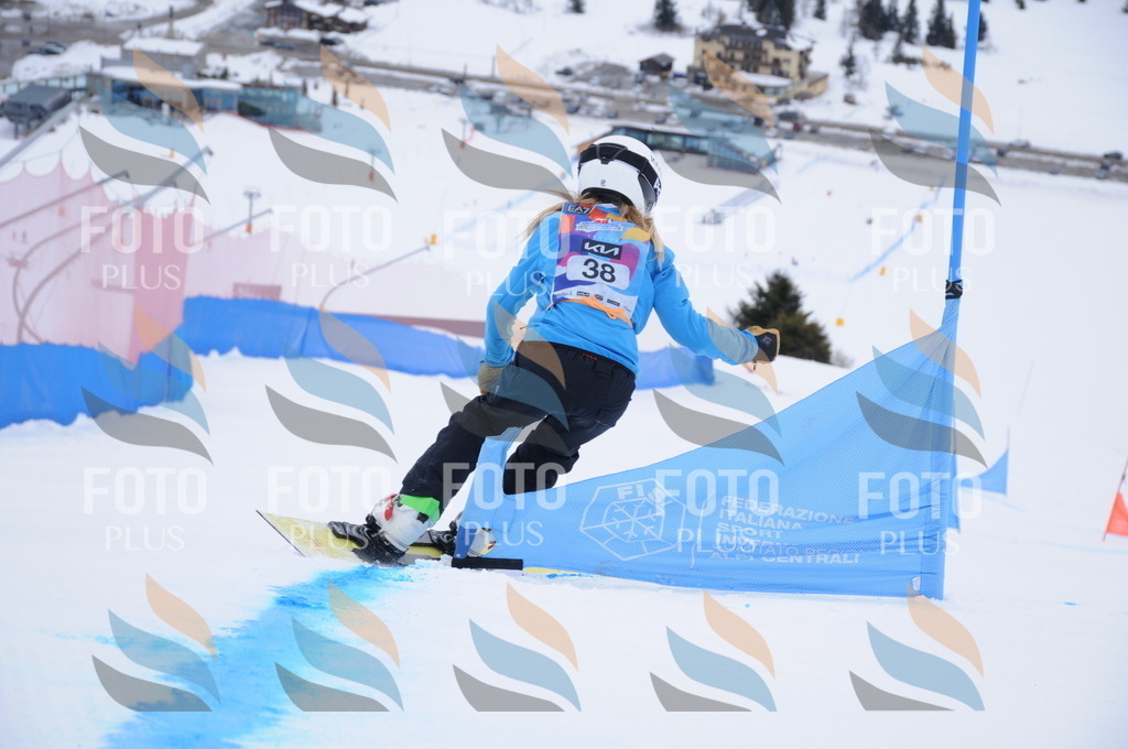 DSC_0080 | holidayphoto