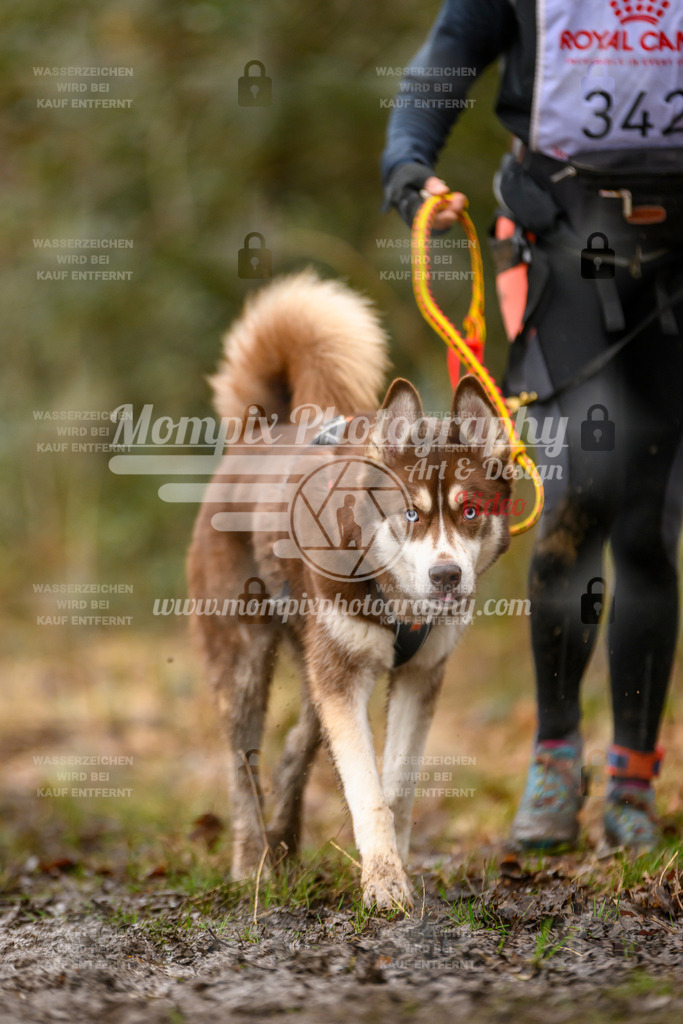 MompixPhotography_CDSM24_SA_CCS-231 | mompixphotography