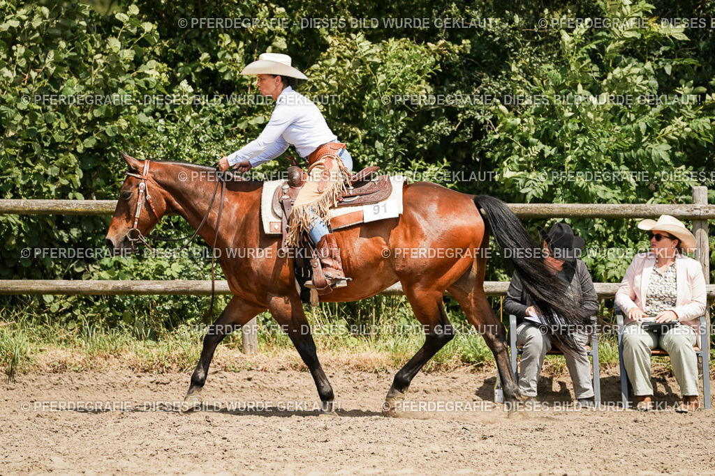 DSC09684 | Pferdegrafie