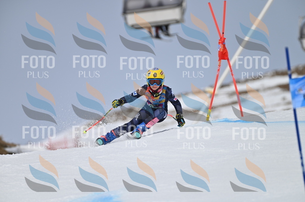 BGV_4494 | holidayphoto