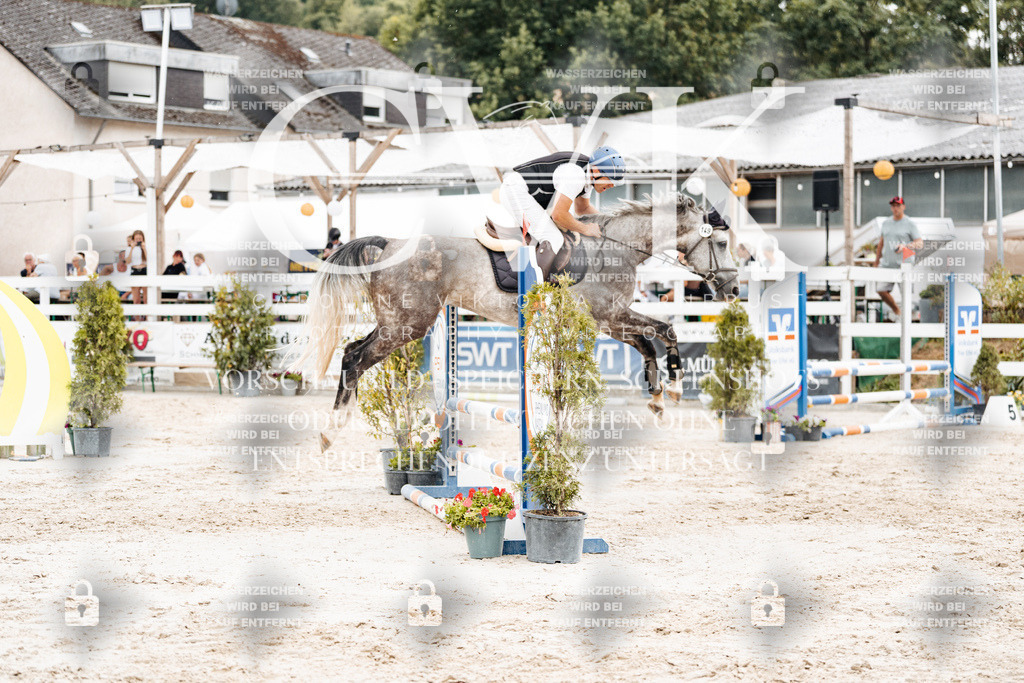 CK908715 | Turnierfotografie Pferdefotografie Trier Rheinland-Pfalz Pferdesport Reitsport Tierfotografie Sportfotografie Pferdevideo Pferdevideografie Equestrianvideography equestrianphotography  - Realisiert mit Pictrs.com