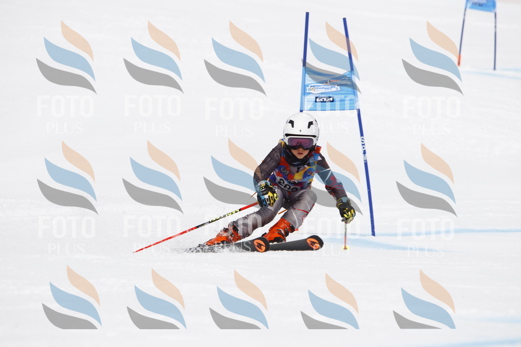 _U3G7244 | holidayphoto