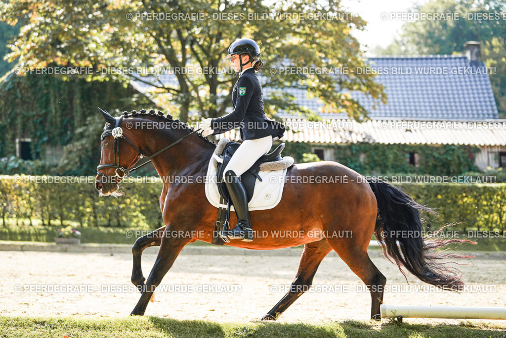 DSC07273 | Pferdegrafie