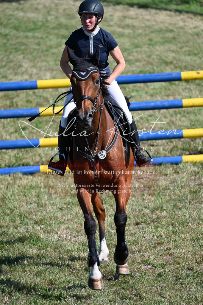 DSC_2193 | Pferde- und Turnierfotografie in Westsachsen. Pferdeportraits, Auftragszeichnungen und intuitive Kunst.