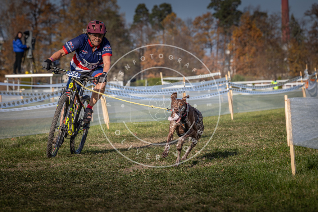 CaniXpix_0L8A7092 | Hundefotografie, Tierfotograf, Pfotenfotografie, Fotoshooting Hund, Hunde Portrait, Hundesport, Hundeportraits, Heideshooting, Hunde, Sportfotograf, Hundefotograf, Turnierhundsport, THS,  - Realisiert mit Pictrs.com
