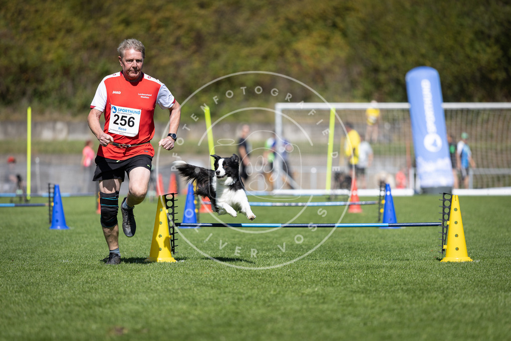 Pfotenfotografie_DV3A6354 | Hundefotografie, Tierfotograf, Pfotenfotografie, Fotoshooting Hund, Hunde Portrait, Hundesport, Hundeportraits, Heideshooting, Hunde, Sportfotograf, Hundefotograf, Turnierhundsport, THS,  - Realisiert mit Pictrs.com