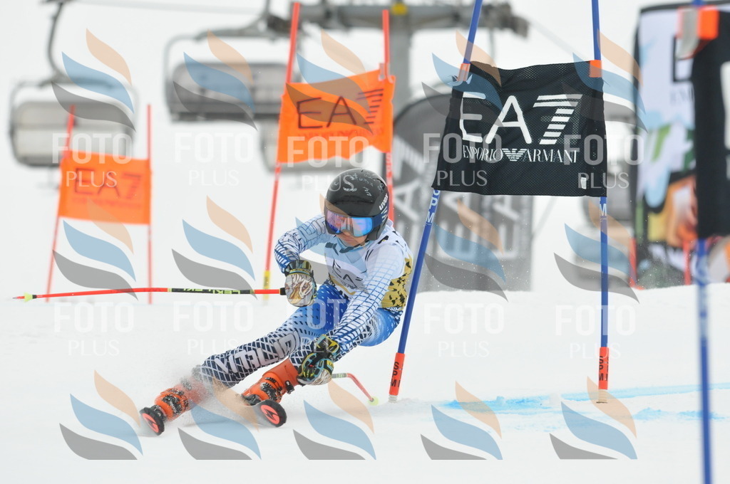 DSC_8658 | holidayphoto