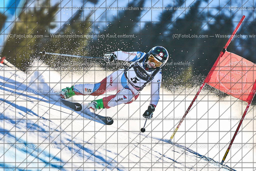 ALP1437_FIS-MastersCup_Reiteralm_Giant-SL_Schaerer Julia | FIS-MastersCup GIANT-SLALOM auf der Reiteralm in Pichl, Sa 18. Jänner 2025.