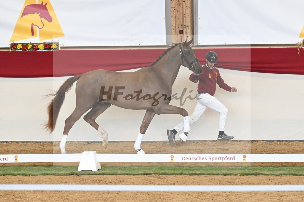 Kat.-Nr. 80 v. Va Bene_Klakow_3261248 | hf-fotografie - Realisiert mit Pictrs.com