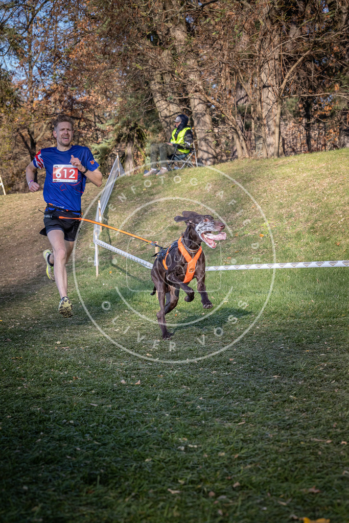 CaniXpix_0L8A8703 | Hundefotografie, Tierfotograf, Pfotenfotografie, Fotoshooting Hund, Hunde Portrait, Hundesport, Hundeportraits, Heideshooting, Hunde, Sportfotograf, Hundefotograf, Turnierhundsport, THS,  - Realisiert mit Pictrs.com