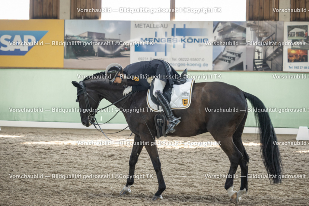 _D5A0327 | Emotionale Pferde- & People-Fotografie rund um Heidelberg, Leimen & Umgebung. Natürliche Fotos von Pferd, Mensch & Familie. Jetzt Termin sichern!