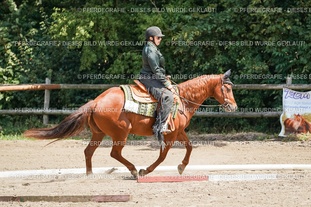 DSC06496 | Pferdegrafie