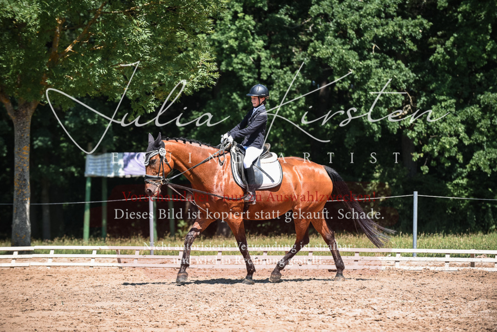 DSC_2968 | Pferde- und Turnierfotografie in Westsachsen. Pferdeportraits, Auftragszeichnungen und intuitive Kunst.