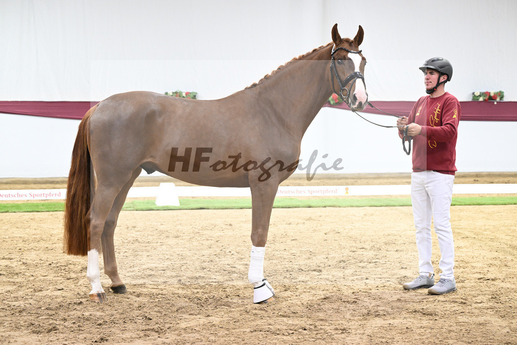 Kat-Nr. 115 Secret x Fidermark_Frieder Heilemann_47254353 | hf-fotografie - Realisiert mit Pictrs.com