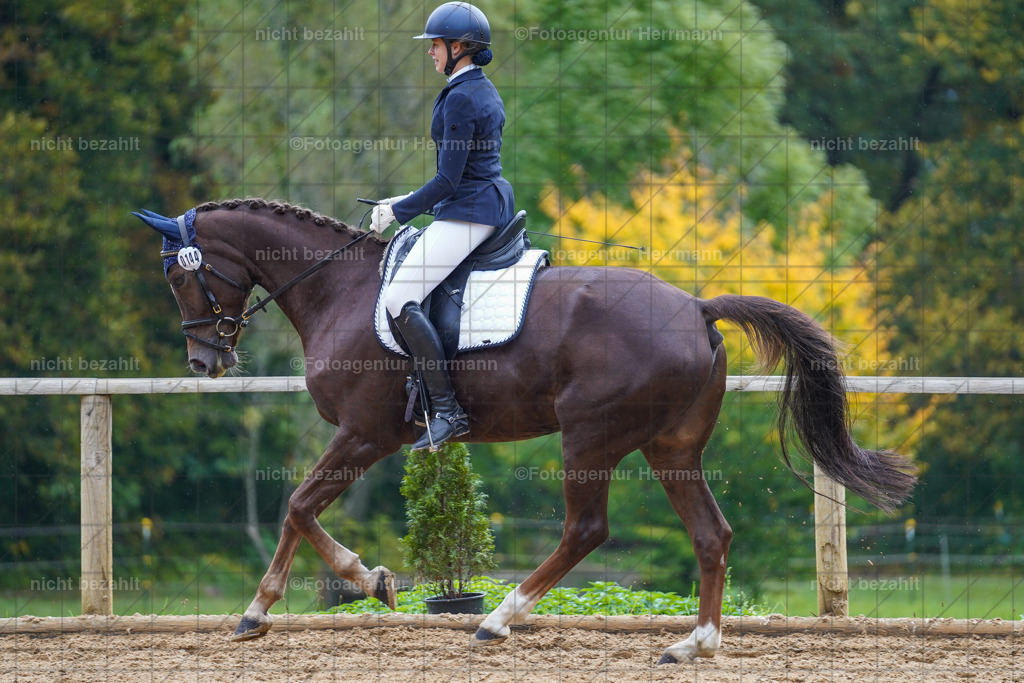 20221008-FAH01969 | Diessen am Ammersee, 2022, Dressur- und Springturnier, Reitsportbilder, Turnierfotografen Bayern, Pferdefotografen, Fotoagentur Herrmann, Turnierbilder