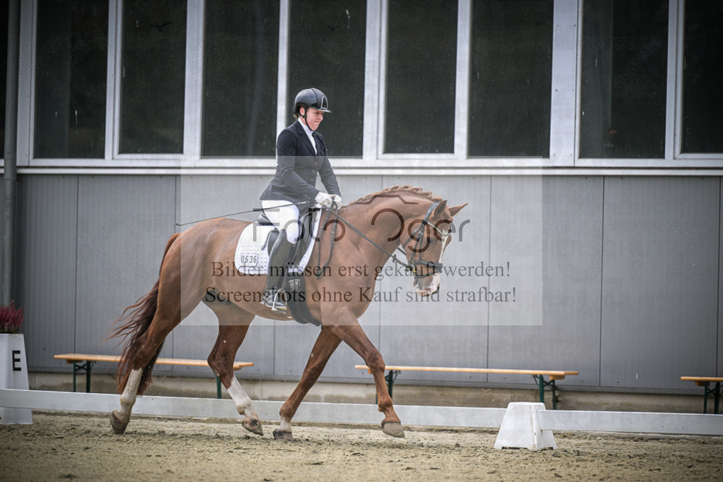 DOS_0850 | Entdecke hochwertige Reitturnierfotos von Foto Oger. Professionell, emotional und authentisch – jetzt Lieblingsmomente im Shop bestellen.Deutschlandweite Turnierfotografie. - Realisiert mit Pictrs.com