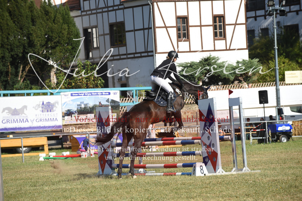 DSC_5395 | Pferde- und Turnierfotografie in Westsachsen. Pferdeportraits, Auftragszeichnungen und intuitive Kunst.