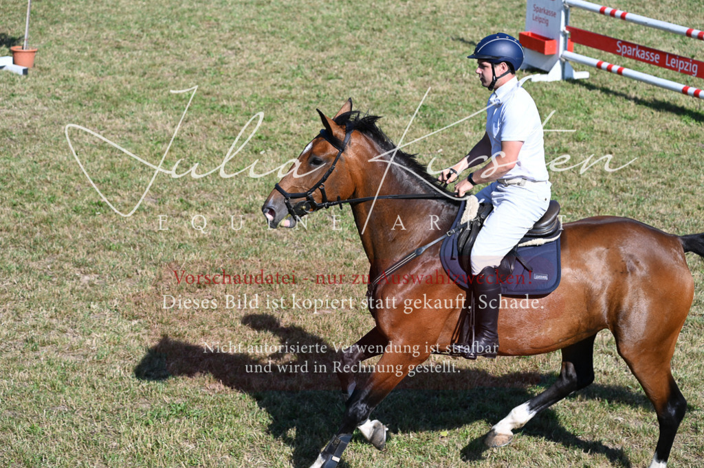 DSC_2168 | Pferde- und Turnierfotografie in Westsachsen. Pferdeportraits, Auftragszeichnungen und intuitive Kunst.