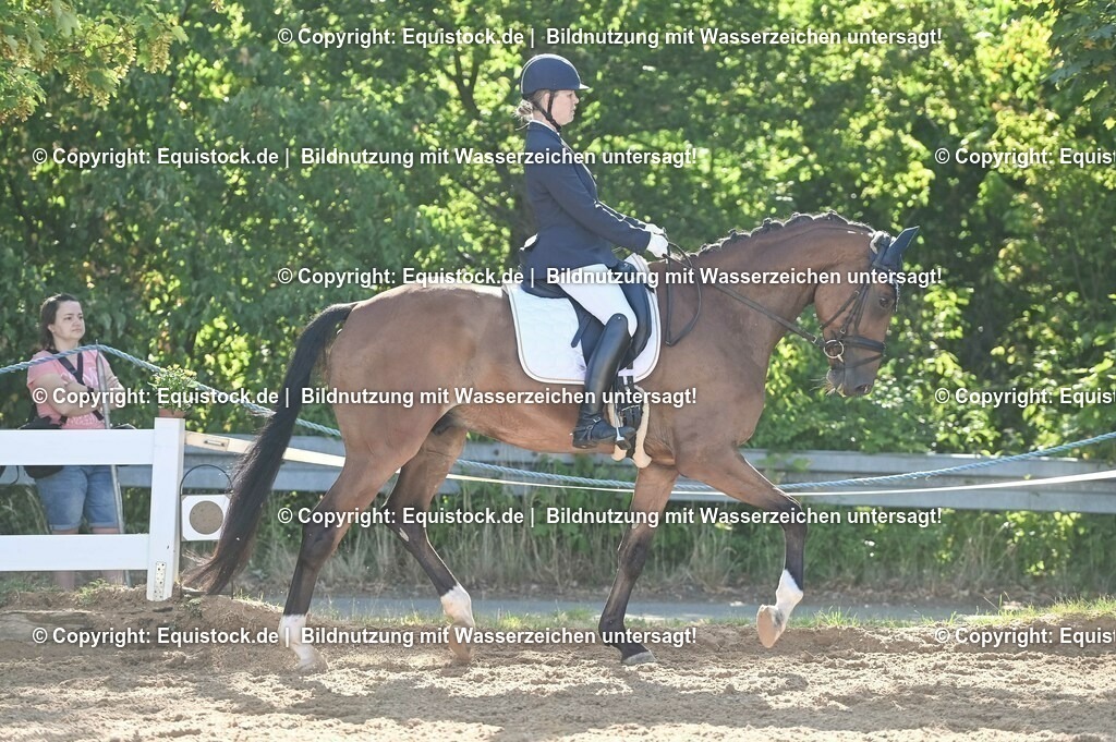 20230715_06_Dressurpferdeprfg. Kl.A_0196 | equistock