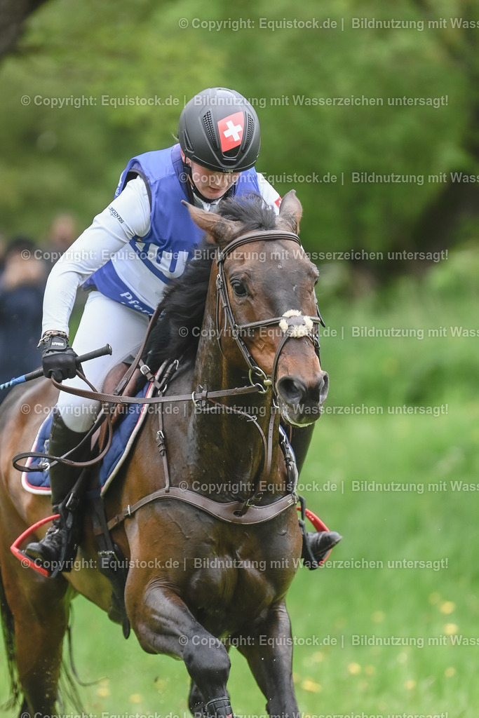20230513_CCI4_Gelände_0097 | equistock