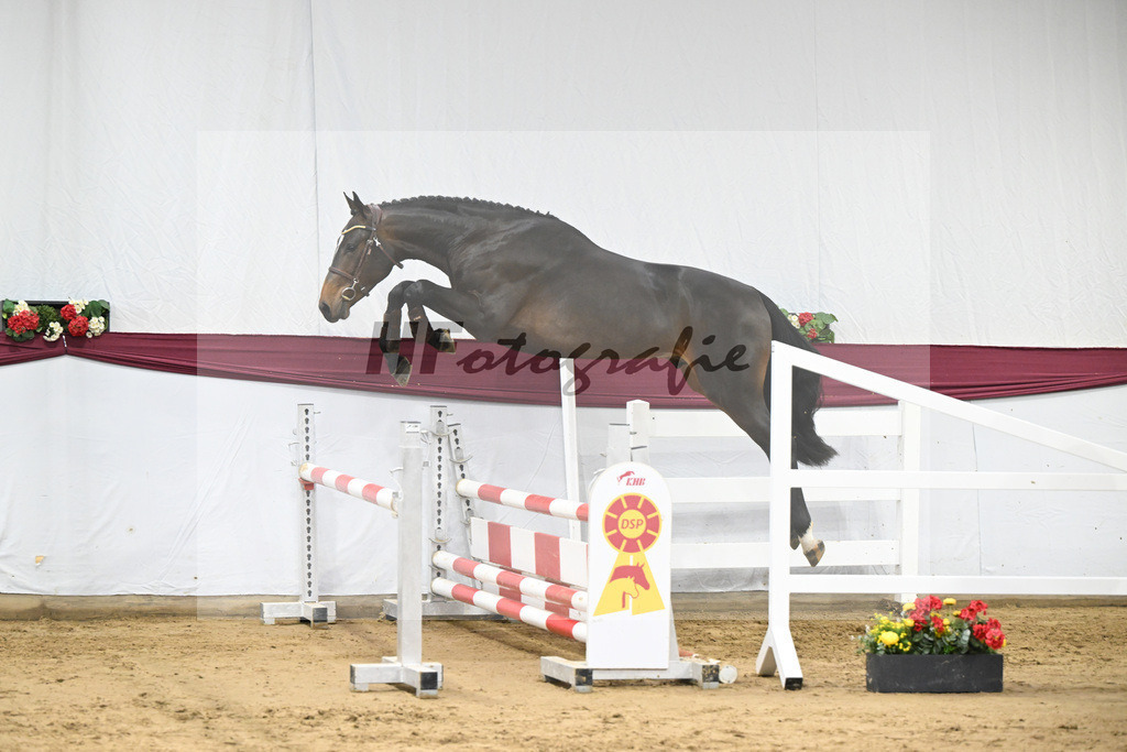 Kat-Nr. 103 Pifte van het Houtemhof x Indoctro_Anna-Sophie Kosch_47253300 | hf-fotografie - Realisiert mit Pictrs.com