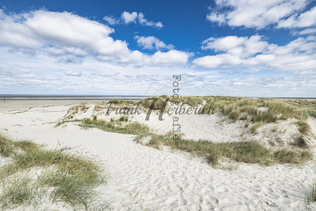 St. Peter Ording Dünenlandschaft | Frank Herberich Fotografie, Frank Herberich, Fotografie, Hochzeit, Portrait, St. Peter Ording, Ording, Westerhever, Nordsee, Frank Fotografie, Hardheim,  Odenwald,Walldürn, Band,Eventfotografie - Realisiert mit Pictrs.com