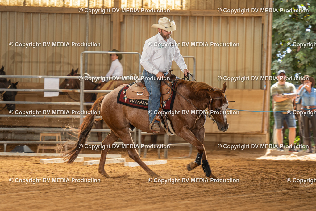 NID01813 | dv-media-shop - Realisiert mit Pictrs.com