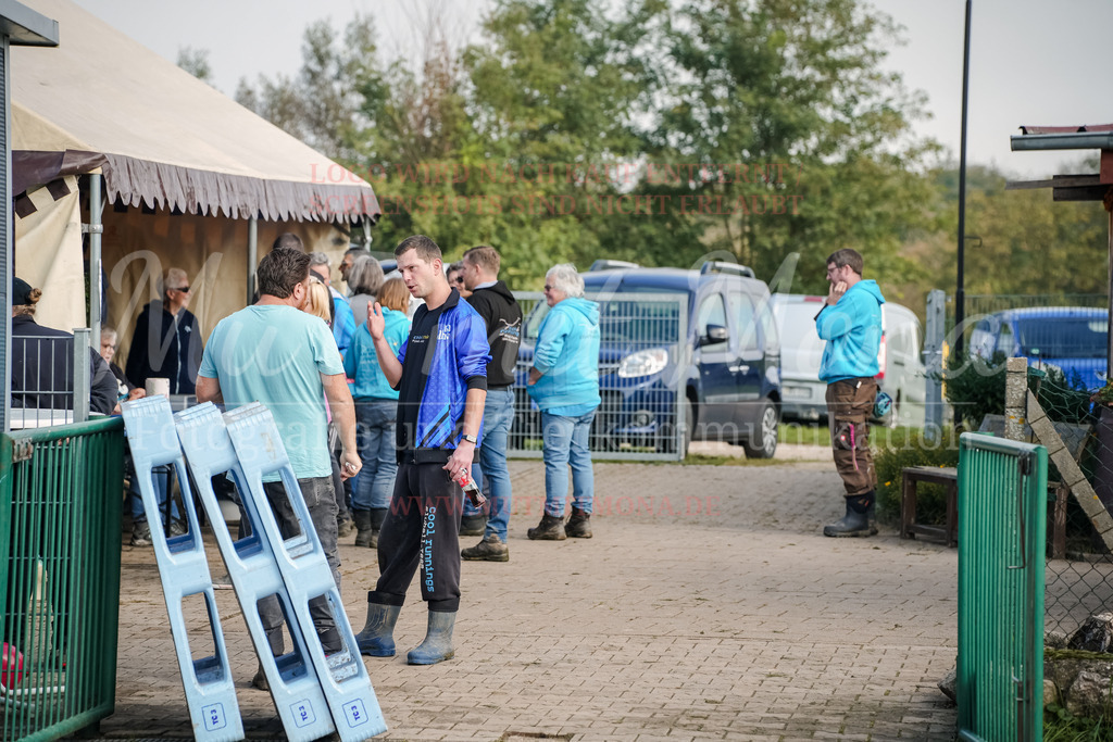 20250928_Hunderennen-333 | MuT (Mensch und Tier) mit Mona - Fotografie und Tierkommunikation - Realisiert mit Pictrs.com