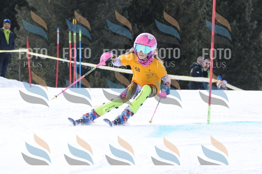 C7368 | holidayphoto