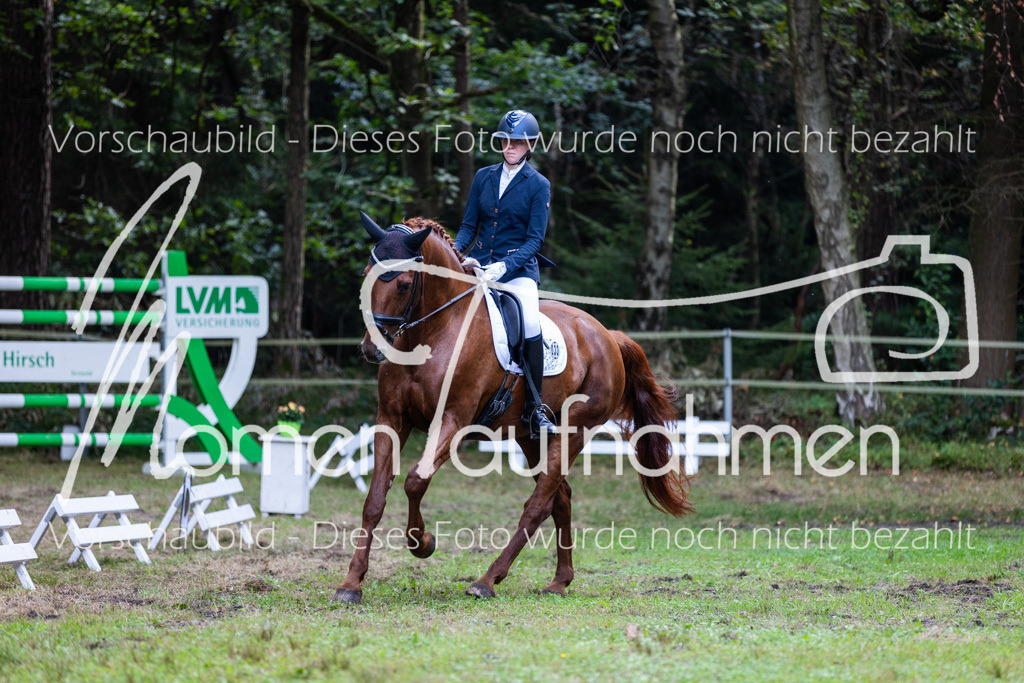 HB-A-Dressur-053 | MomenTaufnahmen Pferdesportfotos