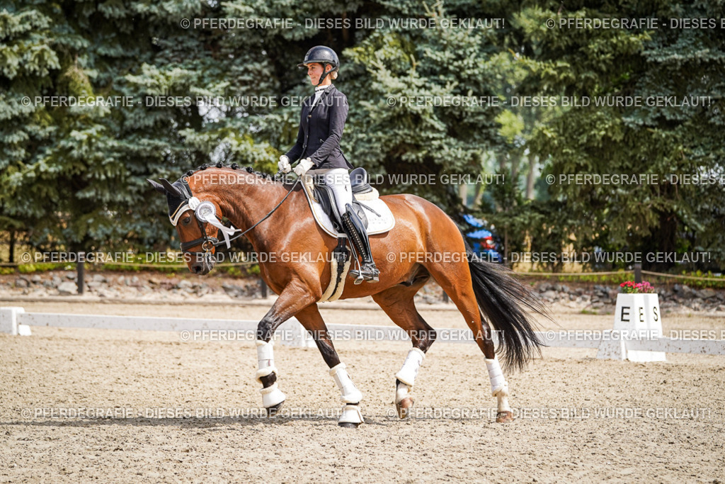 DSC09799 | Pferdegrafie