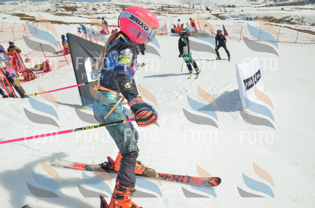 _ELE5061 | holidayphoto