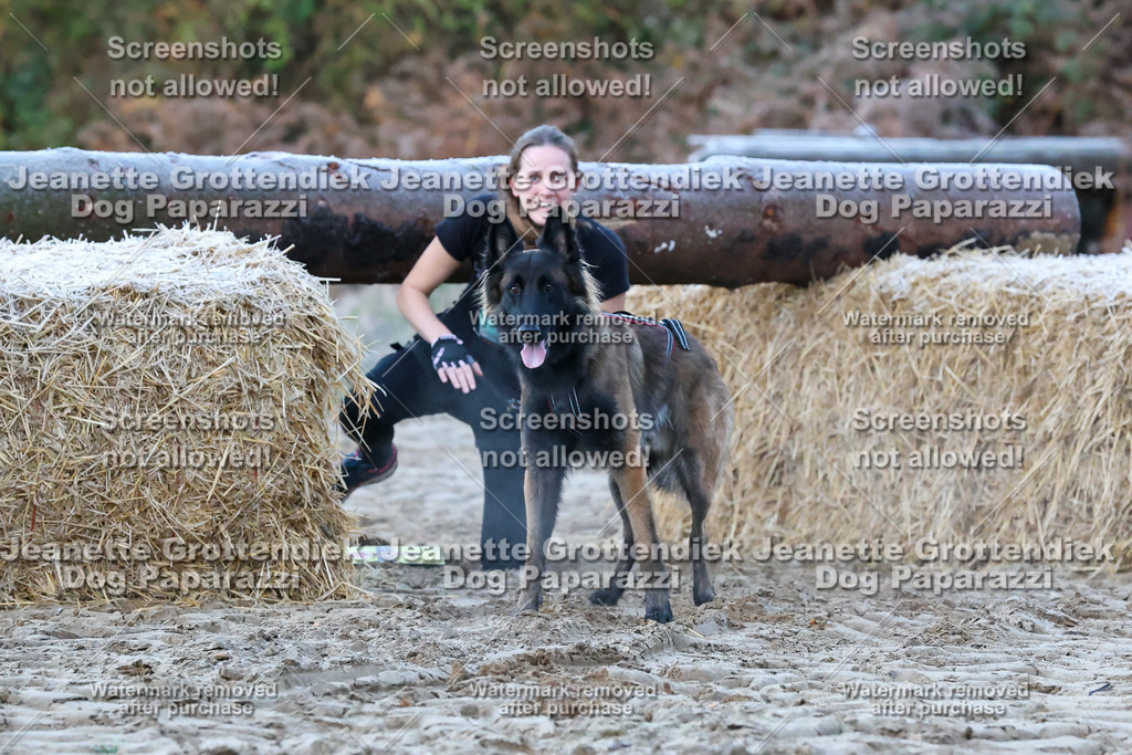Dog Paparazzi - Strongdog 10-25-70 | Dog Paparazzi Jeanette Grottendiek Fotografie & Videografie - Realisiert mit Pictrs.com