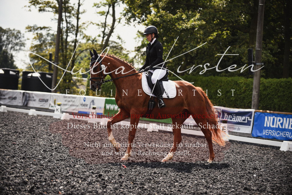 DSC_3887 | Pferde- und Turnierfotografie in Westsachsen. Pferdeportraits, Auftragszeichnungen und intuitive Kunst.