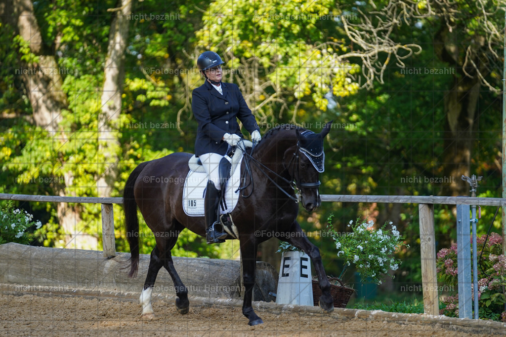 20221007-FAH00179 | Diessen am Ammersee, 2022, Dressur- und Springturnier, Reitsportbilder, Turnierfotografen Bayern, Pferdefotografen, Fotoagentur Herrmann, Turnierbilder