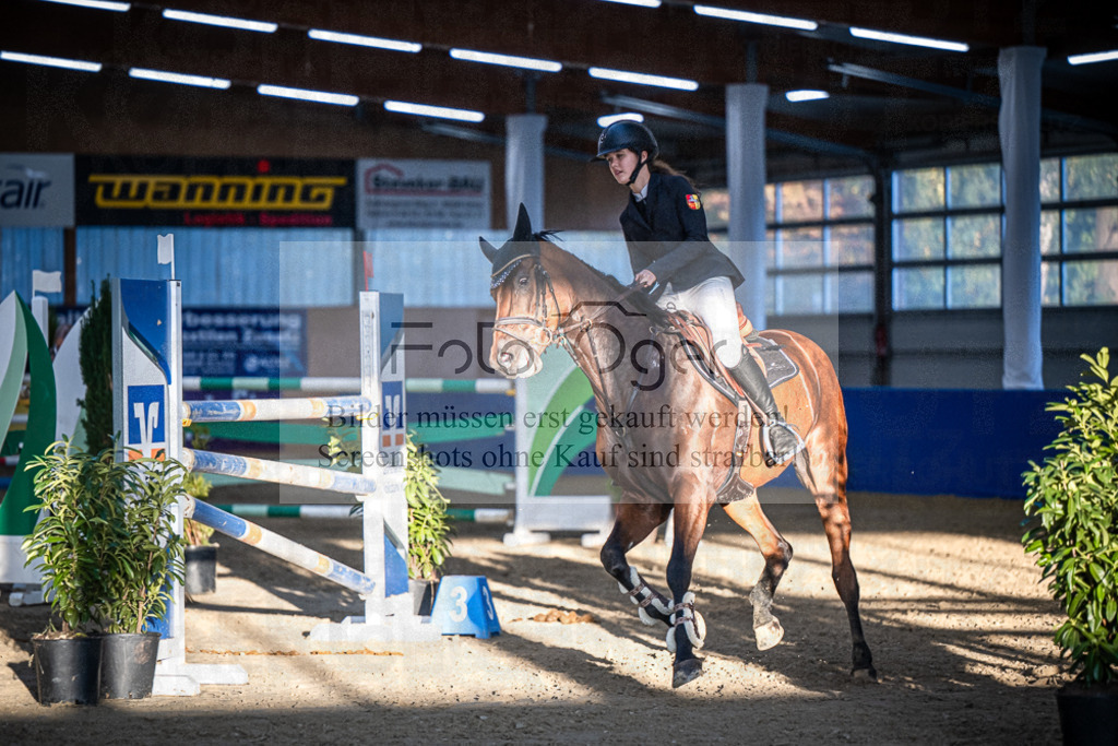 DOS_3911 | Entdecke hochwertige Reitturnierfotos von Foto Oger. Professionell, emotional und authentisch – jetzt Lieblingsmomente im Shop bestellen.Deutschlandweite Turnierfotografie. - Realisiert mit Pictrs.com