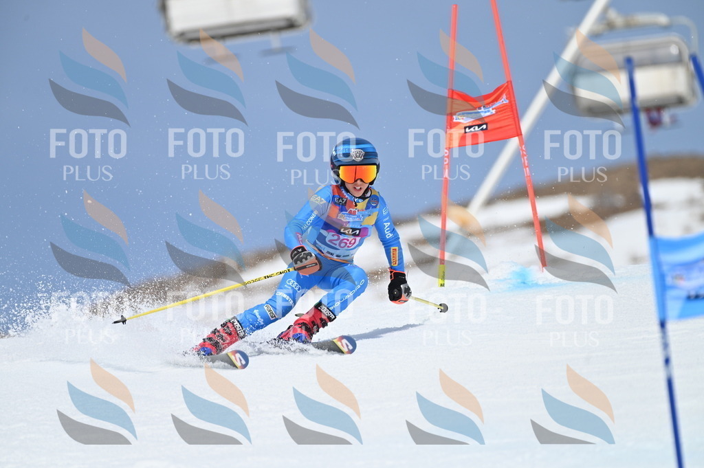 BGV_2231 | holidayphoto