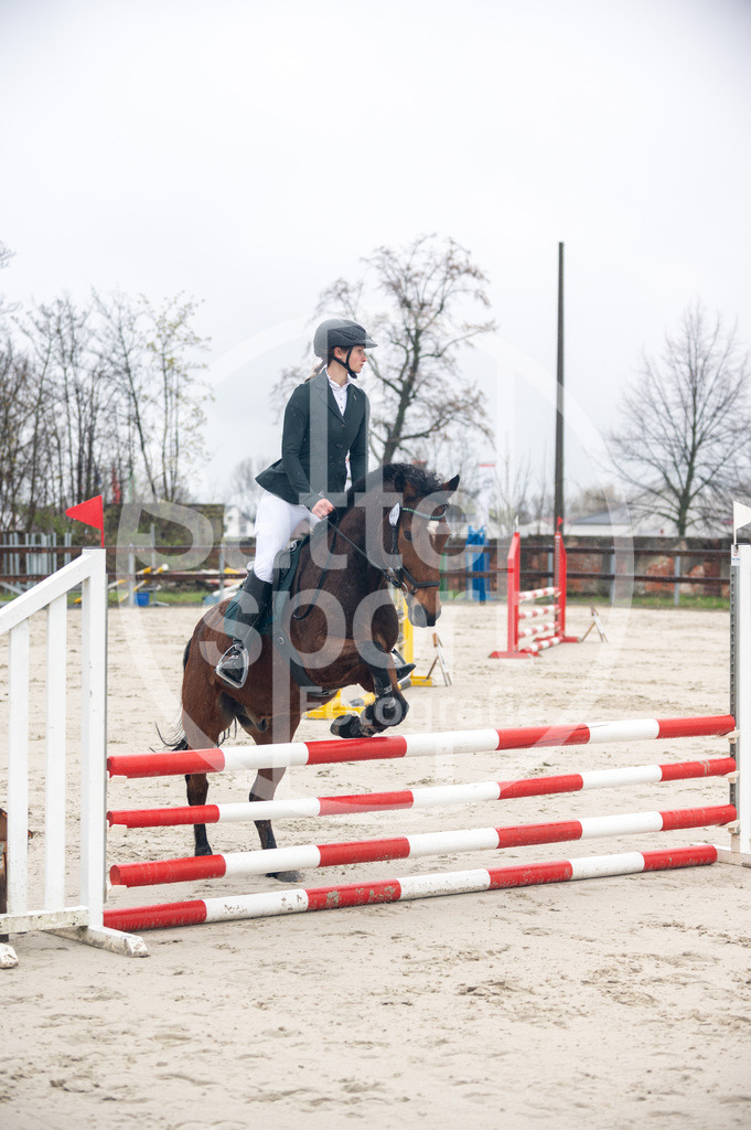 DSC_8378 | sattelsport - Realisiert mit Pictrs.com