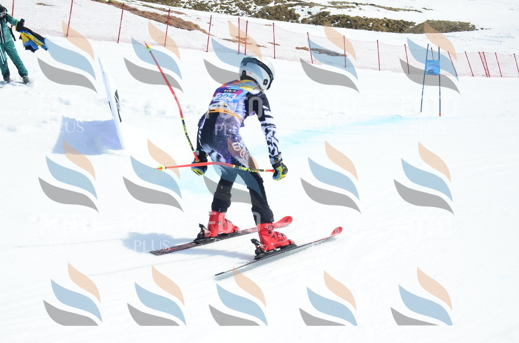 _ELE1600 | holidayphoto