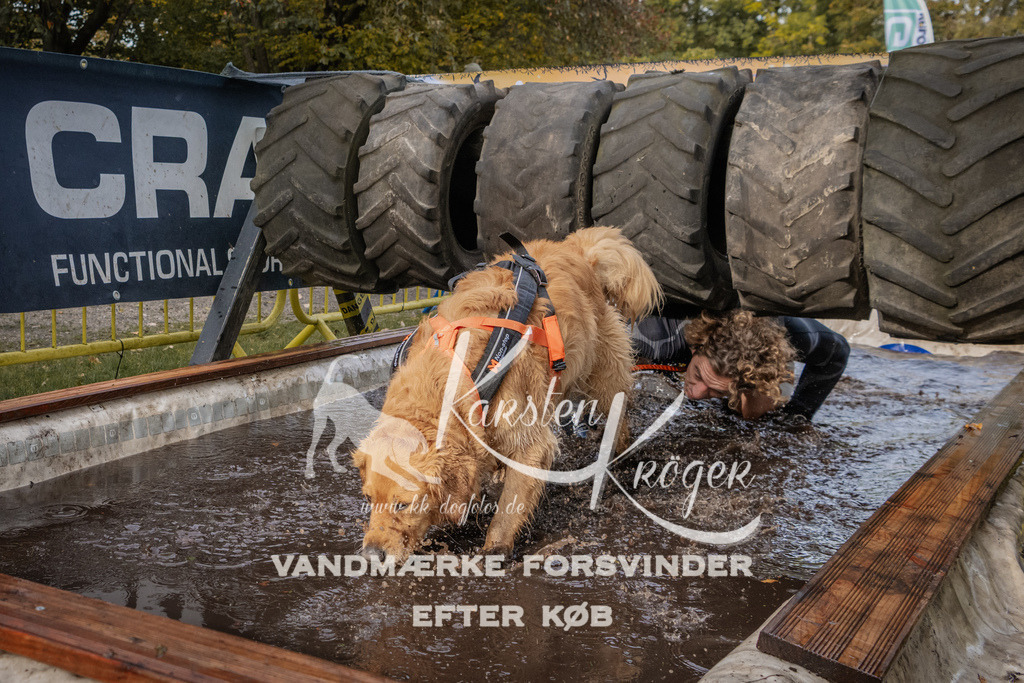 1437_ZZ94688 | kk-dogfotos