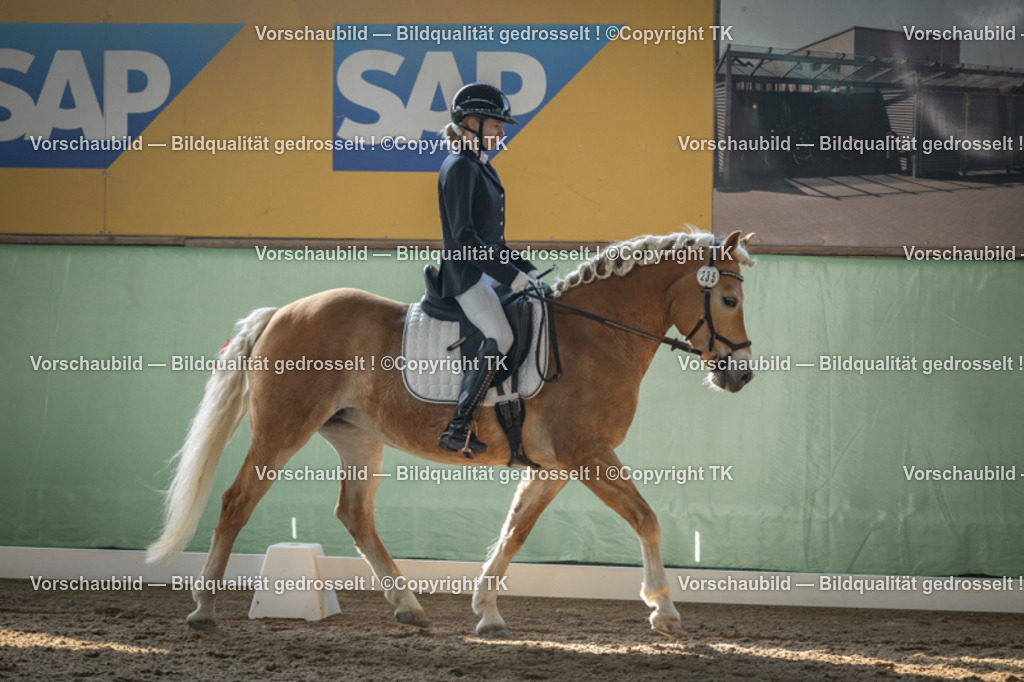 _D5A8293 | Emotionale Pferde- & People-Fotografie rund um Heidelberg, Leimen & Umgebung. Natürliche Fotos von Pferd, Mensch & Familie. Jetzt Termin sichern!