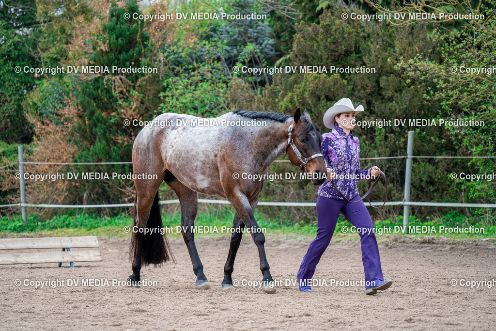 BA300192 | dv-media-shop - Realisiert mit Pictrs.com