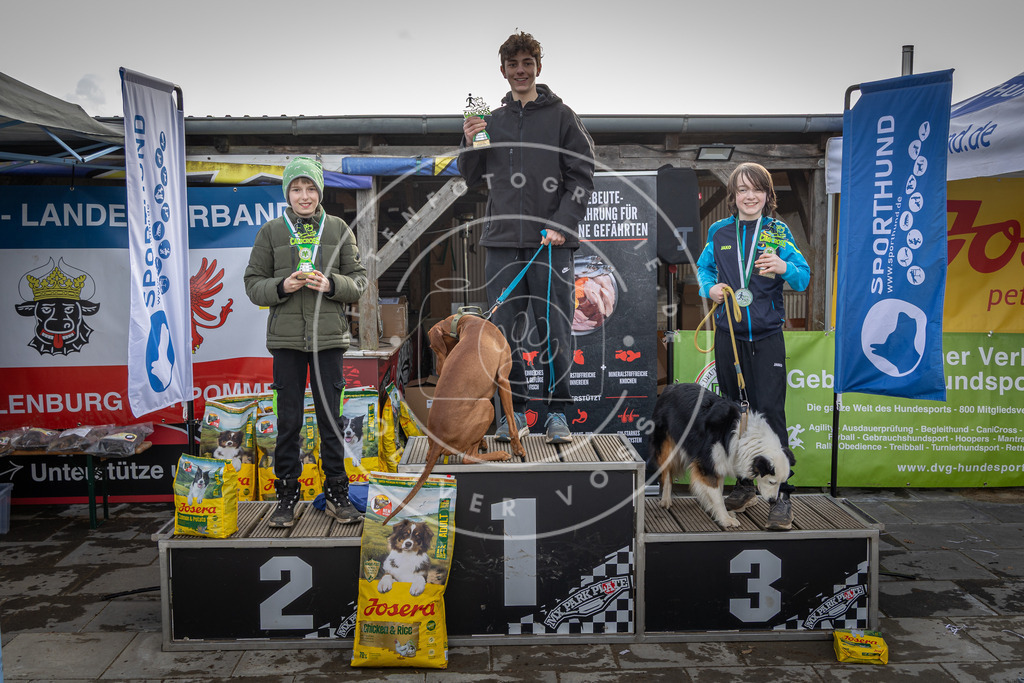 0L8A9269 | Hundefotografie, Tierfotograf, Pfotenfotografie, Fotoshooting Hund, Hunde Portrait, Hundesport, Hundeportraits, Heideshooting, Hunde, Sportfotograf, Hundefotograf, Turnierhundsport, THS,  - Realisiert mit Pictrs.com