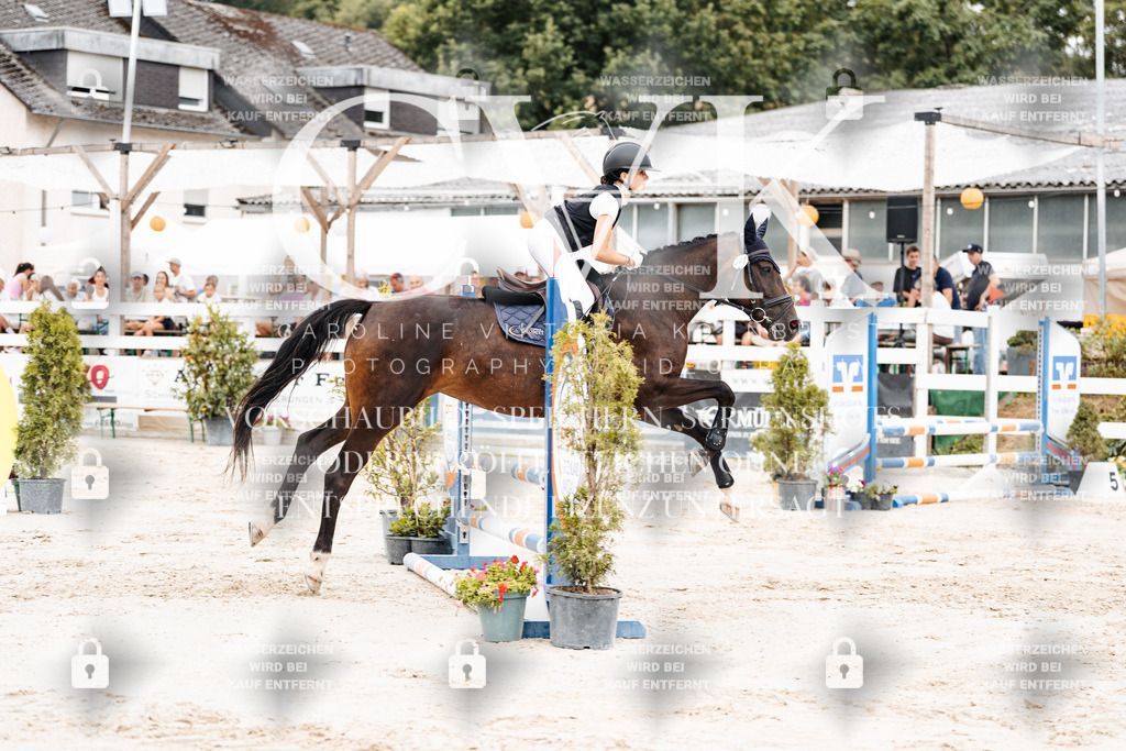 CK908102 | Turnierfotografie Pferdefotografie Trier Rheinland-Pfalz Pferdesport Reitsport Tierfotografie Sportfotografie Pferdevideo Pferdevideografie Equestrianvideography equestrianphotography  - Realisiert mit Pictrs.com