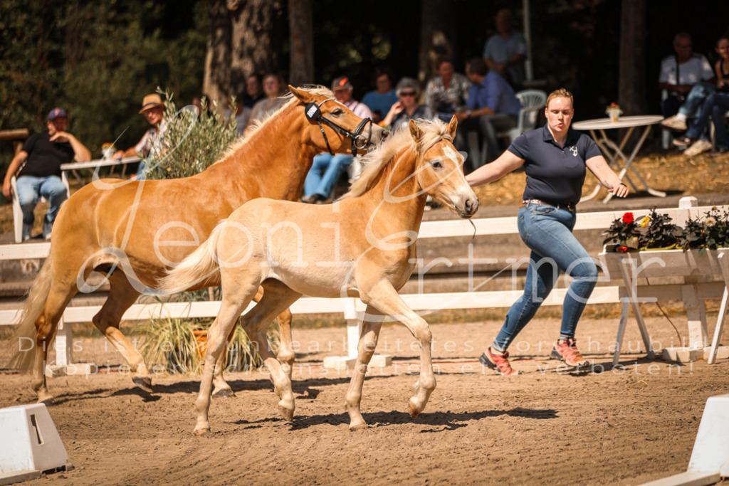 06.DoH00032 | Leoni Ertmer Photography - Realisiert mit Pictrs.com